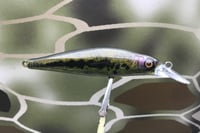 Image 4 of Custom Airbrushed Jerkbait 8974