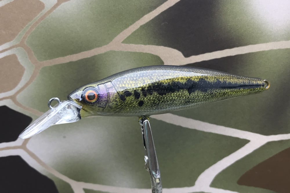 Custom Airbrushed Jerkbait 8974