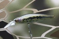 Image 3 of Custom Airbrushed Jerkbait 8974