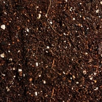 Image 2 of Sustrato para terrarios plantados 