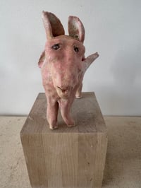 Image 3 of Winged Creatures: Pink Donkey