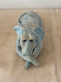Image 2 of Blue dog
