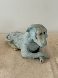 Image 3 of Blue dog