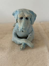 Image 4 of Blue dog