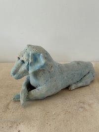 Image 6 of Blue dog