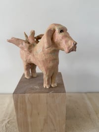 Image 6 of Winged Creatures: Pink Dog