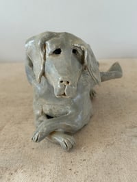 Image 2 of Winged Creatures: Green dog at rest