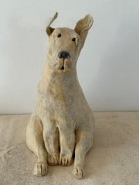 Image 4 of Rescued dog