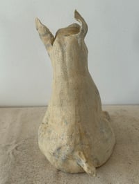 Image 5 of Rescued dog