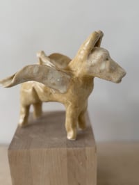 Image 7 of Winged Creatures: Three yellow donkeys-choose