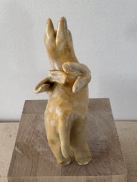 Image 12 of Winged Creatures: Three yellow donkeys-choose