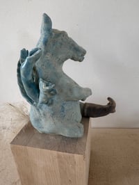 Image 2 of Donkey who lost his leg