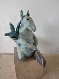 Image 5 of Donkey who lost his leg