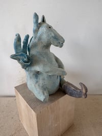 Image 6 of Donkey who lost his leg