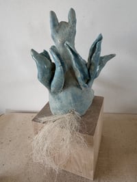 Image 10 of Donkey who lost his leg