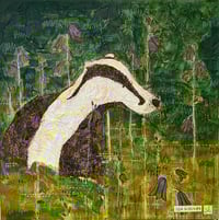 Image 1 of Woodland Walk