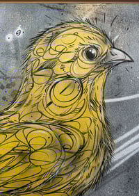 Image 2 of FIRST STEPS