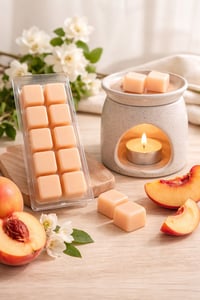 Large 10 Cell Wax Melt 