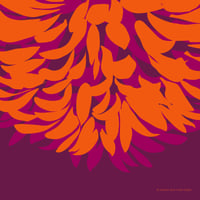 LAST DAHLIA SQUARE 100% SILK TWILL SCARF