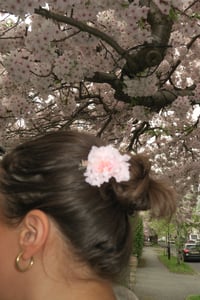 Image 3 of cherry blossom clip