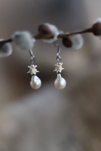 Image 5 of Orecchini Vertebre di serpente e Perle II