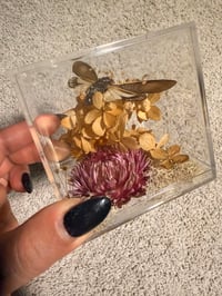 Image 4 of Cicada Acrylic Box