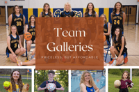 Team Gallery Download Access