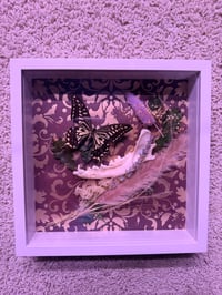 Image 2 of Framed Specimen VI