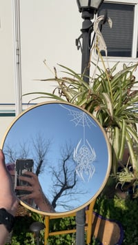 Spider mirror