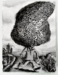 Dance of the Mushroom Man