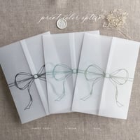Image 14 of Minimalist ribbon bow vellum wrap PACK of 10
