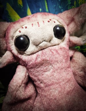 *Re-listed* Lankie Furren!