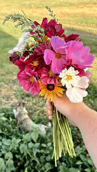 Image 5 of 2026 FLOWER BOUQUET SUBSCRIPTION