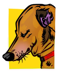 Image 1 of Custom Pet Portrait 