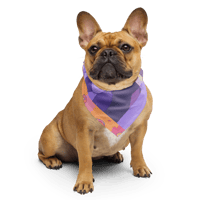 Image 2 of UNLEARN Bandana