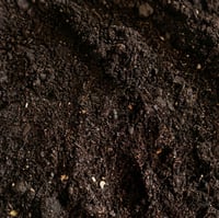 Image 2 of Sustrato húmedo (perfecto para Excavación y Puesta de Reptiles)