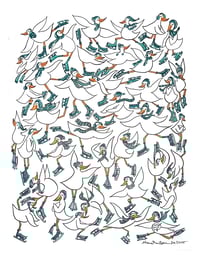 Image 1 of Ducks Ice Skating