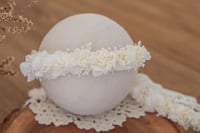 Newborn/Sitter Halo 333