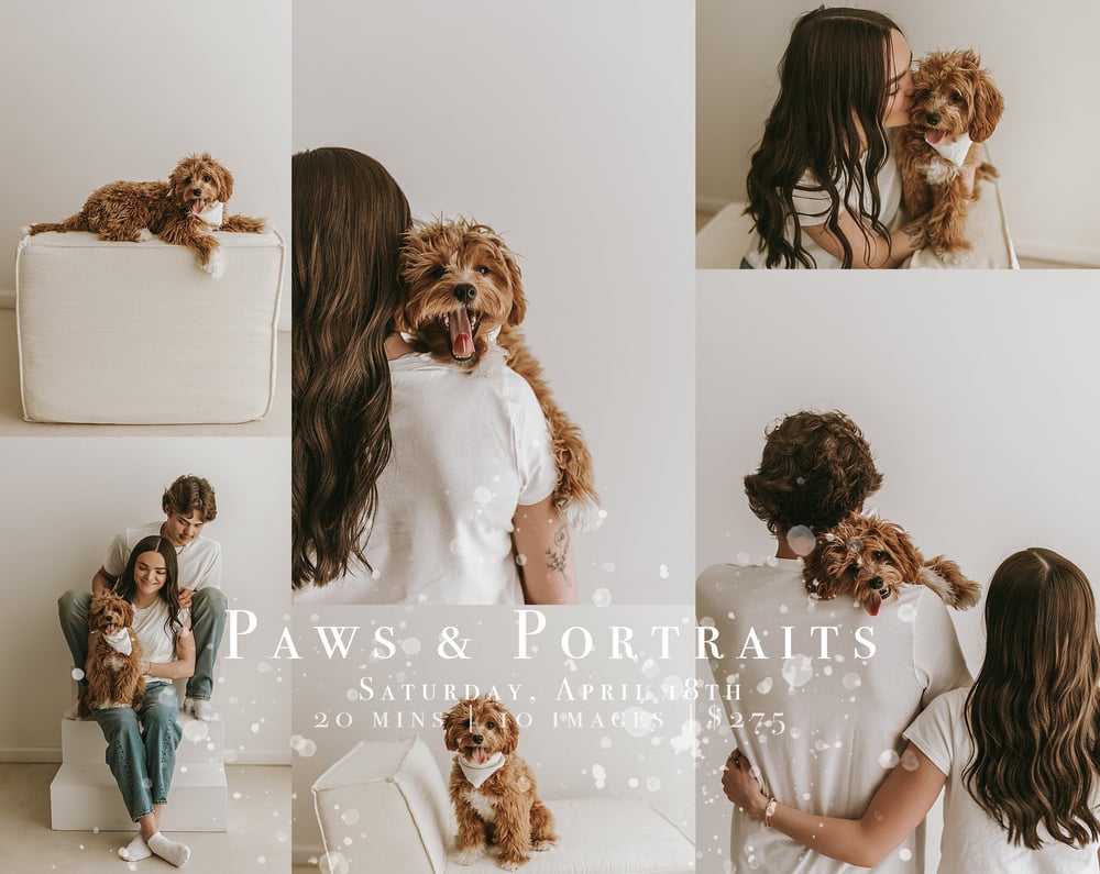 Image of Paws & Portrits Retainer