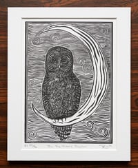 Image 4 of In the Moon's Shadow