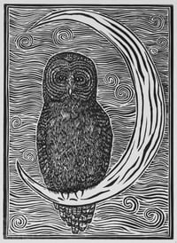 Image 3 of In the Moon's Shadow