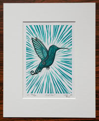 Image 2 of Colibri