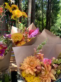 Image 2 of Farm Flowers C.S.A. Membership 