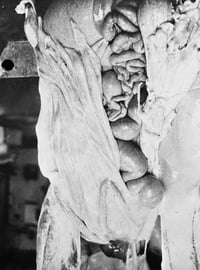 Image 2 of O.M. THEATER — HERMANN NITSCH 1972