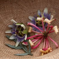 Image 2 of Medicinal Herb C.S.A. Membership 