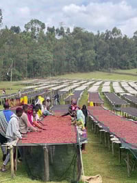 Image 2 of Café du moment - Ethiopie