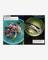 Image 2 of SACRED TO SOMEONE BY ZACH BERGER