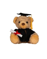 Mumbles Graduation Bear 