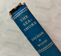 Image 5 of The Sea-shore Shown Series 