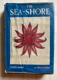 Image 1 of The Sea-shore Shown Series 